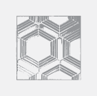 A geometric pattern of hexagons interwoven with lines, creating a visually intriguing design in grayscale.