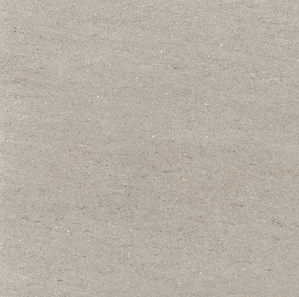 A textured surface in a light gray hue, featuring subtle variations and a hint of sparkle.