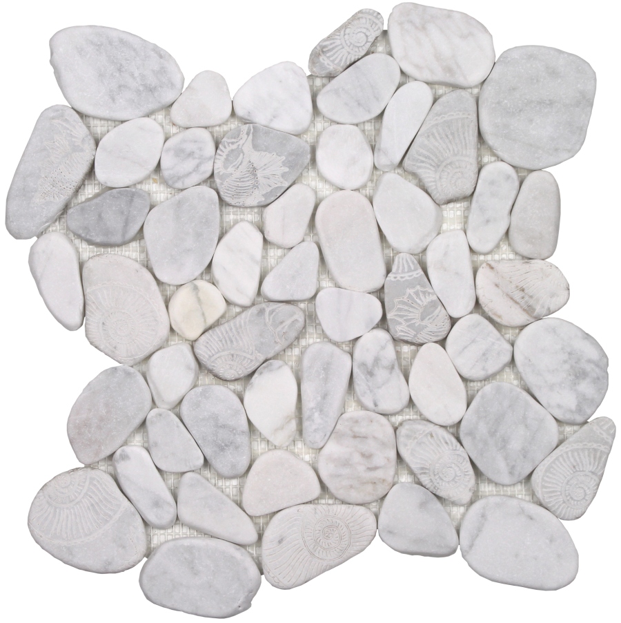 Ocean Stones Sliced Marble Fossil Carrara