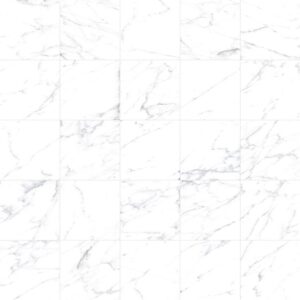 Dama Carrara 2.5" x 10" Matte