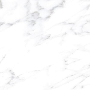 Dama Carrara 10" x 10" Matte