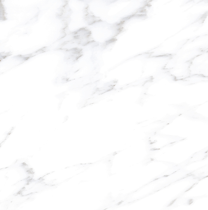 Dama Carrara 10" x 10" Matte