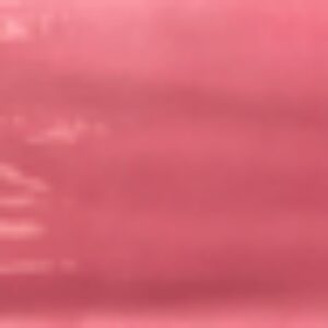 Joyful Pitaya Wall, 4" x 16"