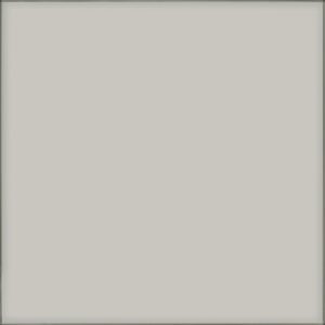 Vetri Fume 24X24 Polished