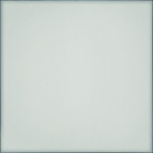 Vetri Naturale 24X24 Polished